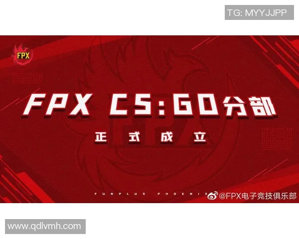 深入分析FPX在CSGO赛事中的运营策略与市场热点解读