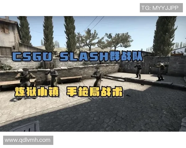 陈敏深度解析CSGO赛季15战术与心得分享全攻略