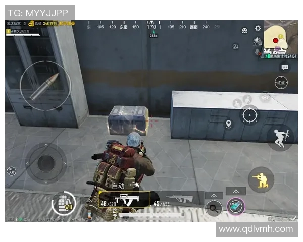 和平精英巨献探索LNG灵活性与未来发展潜力的深度解析