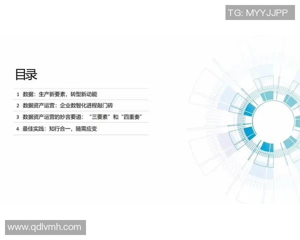 电竞数据深入剖析BLG战队的运营策略与成功之道
